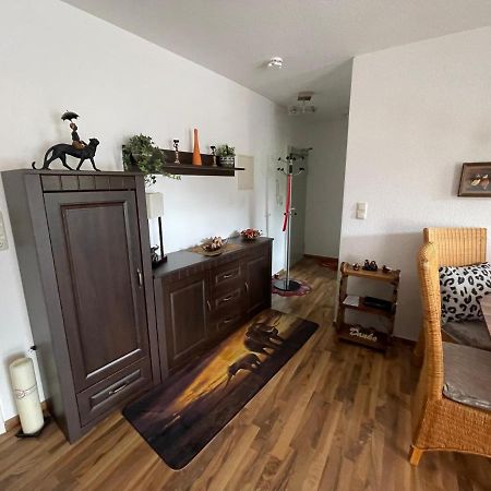 Moeblierte Wohnung Fuer Geschaeftsreisen/Ferienwohnung Plauen Stadtmitte エクステリア 写真
