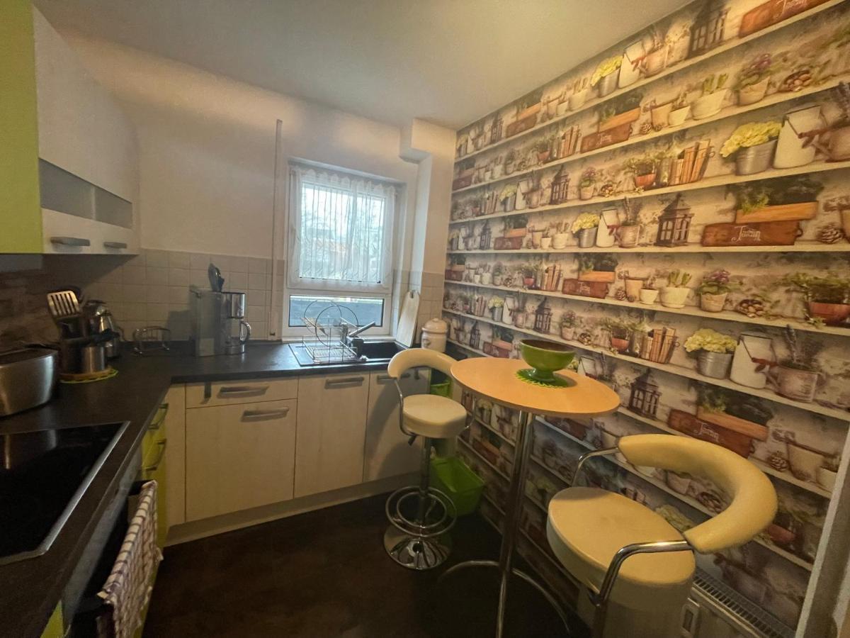 Moeblierte Wohnung Fuer Geschaeftsreisen/Ferienwohnung Plauen Stadtmitte エクステリア 写真