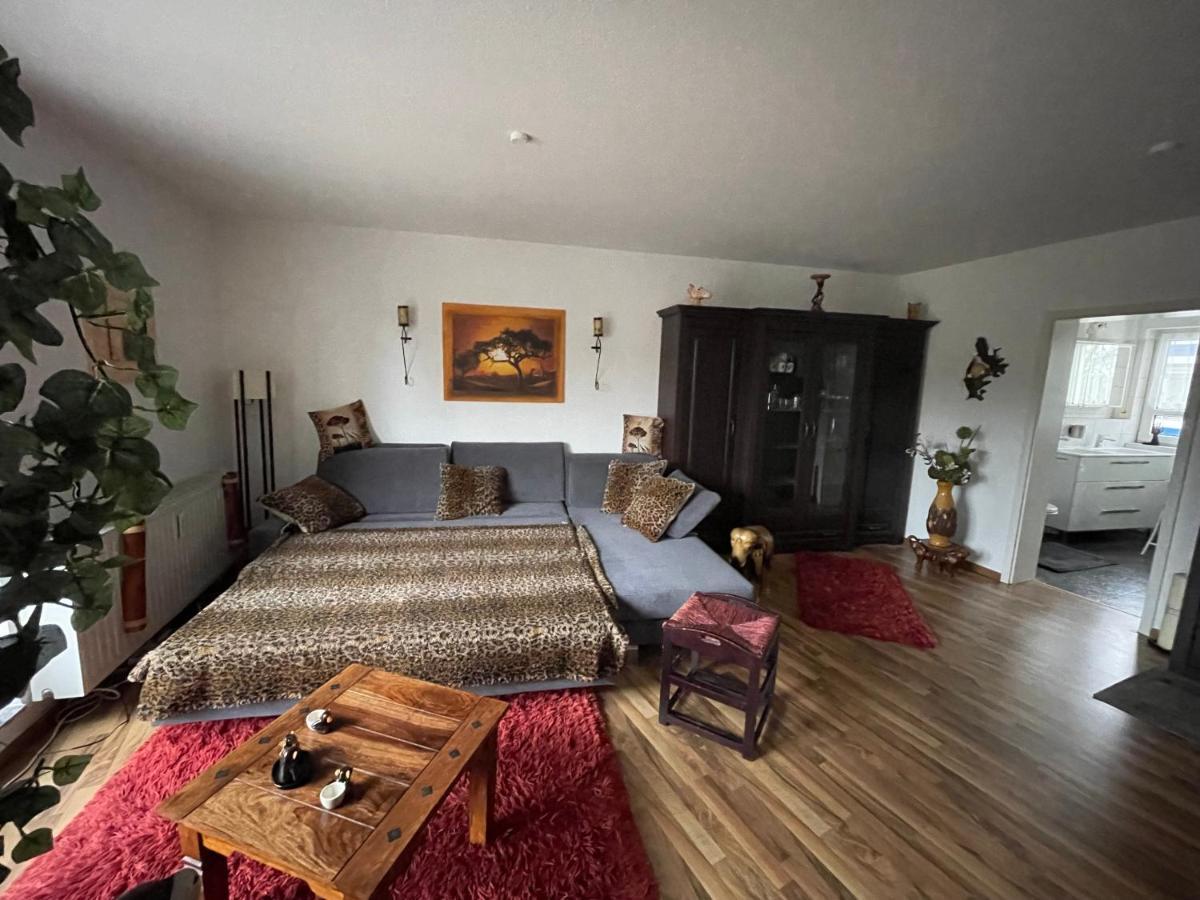 Moeblierte Wohnung Fuer Geschaeftsreisen/Ferienwohnung Plauen Stadtmitte エクステリア 写真