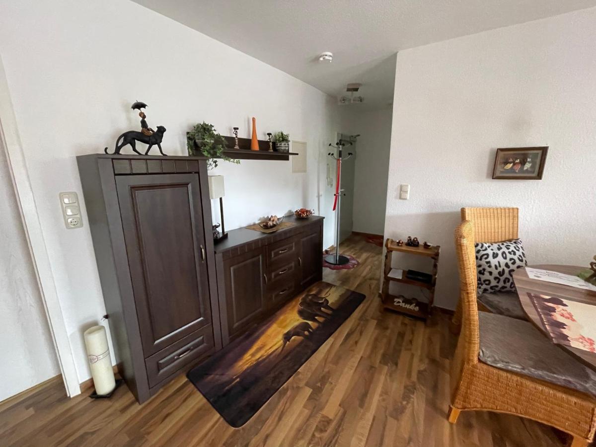 Moeblierte Wohnung Fuer Geschaeftsreisen/Ferienwohnung Plauen Stadtmitte エクステリア 写真
