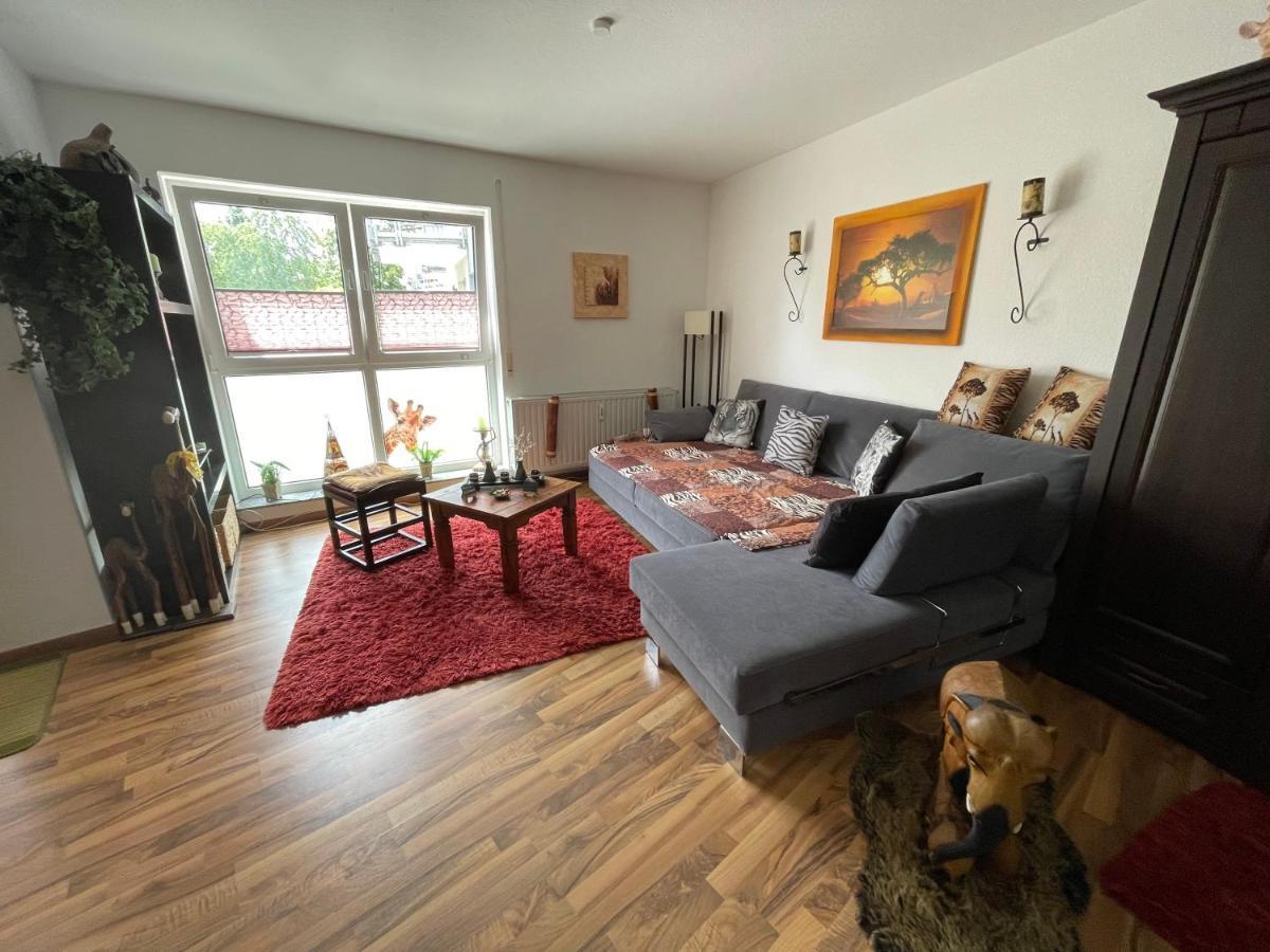 Moeblierte Wohnung Fuer Geschaeftsreisen/Ferienwohnung Plauen Stadtmitte エクステリア 写真