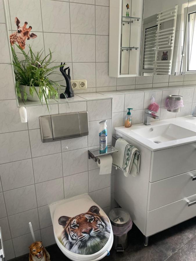 Moeblierte Wohnung Fuer Geschaeftsreisen/Ferienwohnung Plauen Stadtmitte エクステリア 写真
