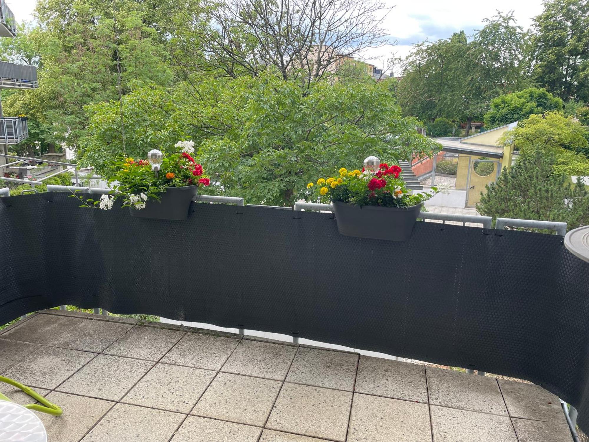 Moeblierte Wohnung Fuer Geschaeftsreisen/Ferienwohnung Plauen Stadtmitte エクステリア 写真